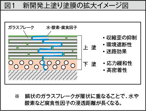 開発の概要