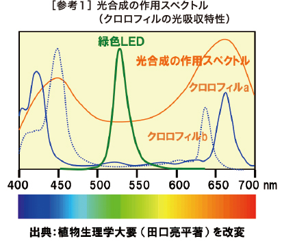 ［参考１］ 光合成の作用スペクトル